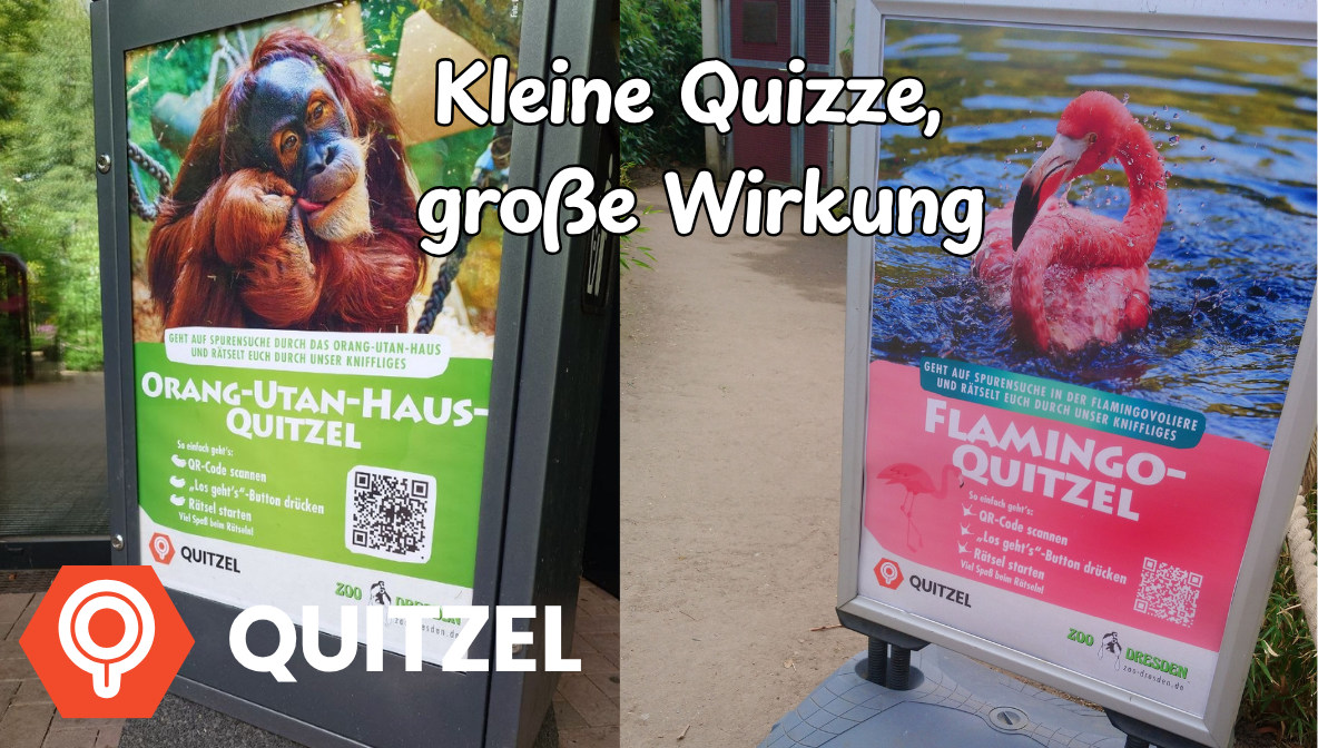 Kleine Quizze, große Wirkung